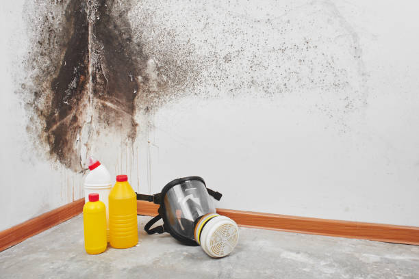 Best Crawl Space Mold Removal  in Sausalito, CA