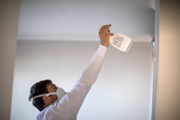 Best Toxic Mold Removal  in Sausalito, CA