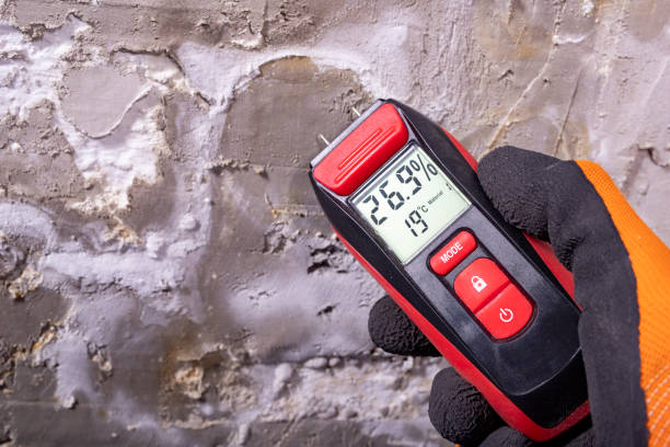 Certified Mold Removal in Sausalito, CA