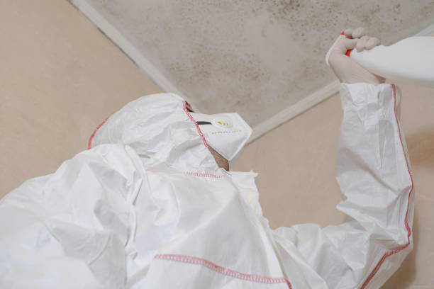 Crawl Space Mold Removal in Sausalito, CA